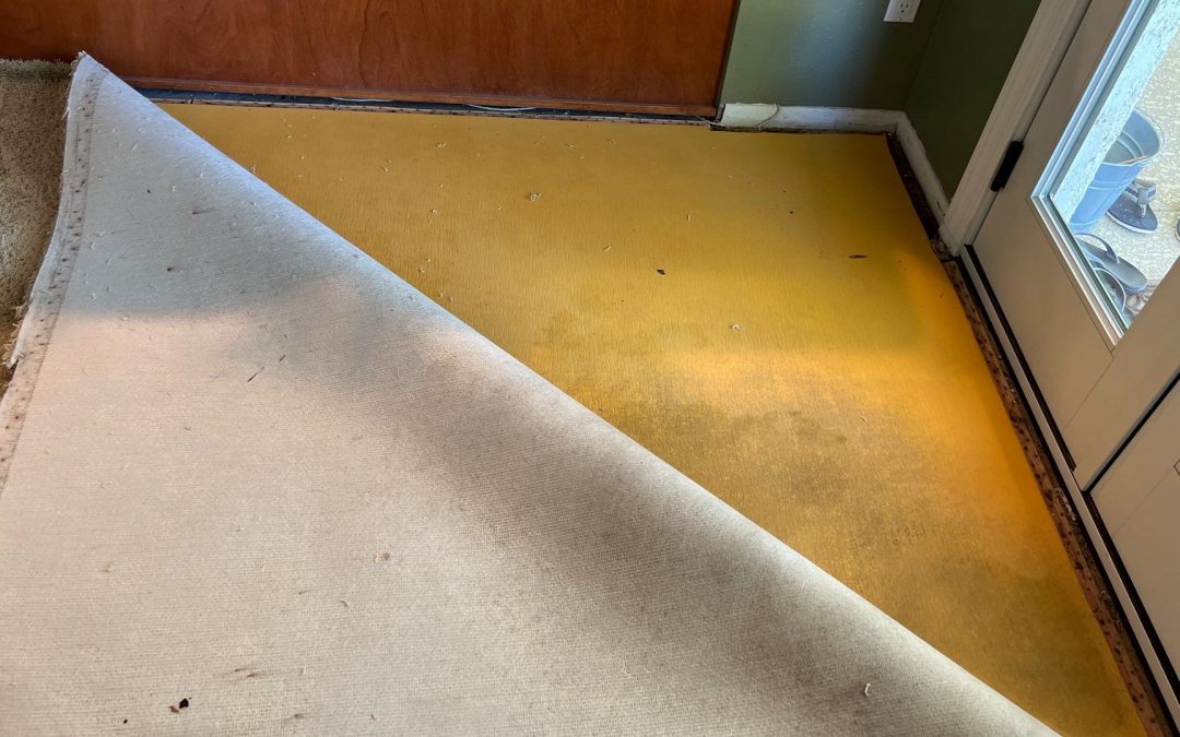 Peoria Water Damage Services: Expert Dry-Out and Carpet Pad Removal After Water Intrusion