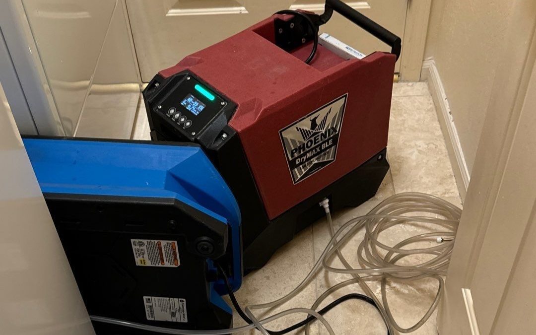 Peoria Water Damage Services: Expert Dry-Out for Laundry Room Leaks