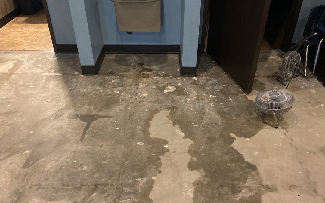 Reliable Water Damage Restoration in Peoria, AZ