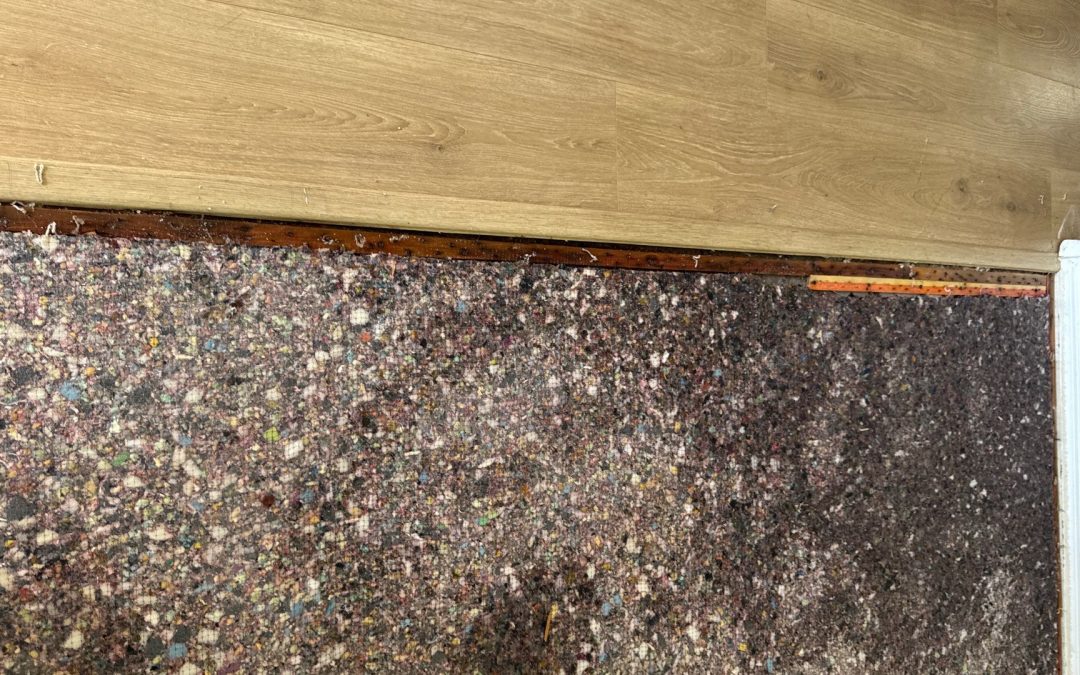How Water Affects Carpet, Tack Strip, and Carpet Pad After Water Damage in Peoria, AZ