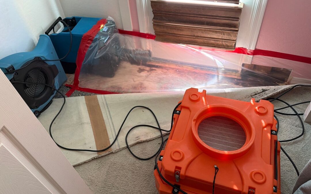 How to Spot Hidden Water Damage Behind Your Walls Peoria, AZ